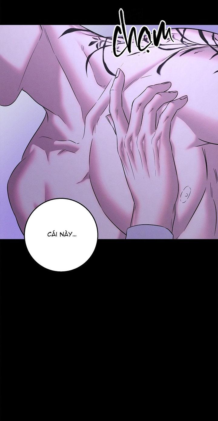 ĐÊM KHÔNG DẤU VẾT Chapter 48 - Next 