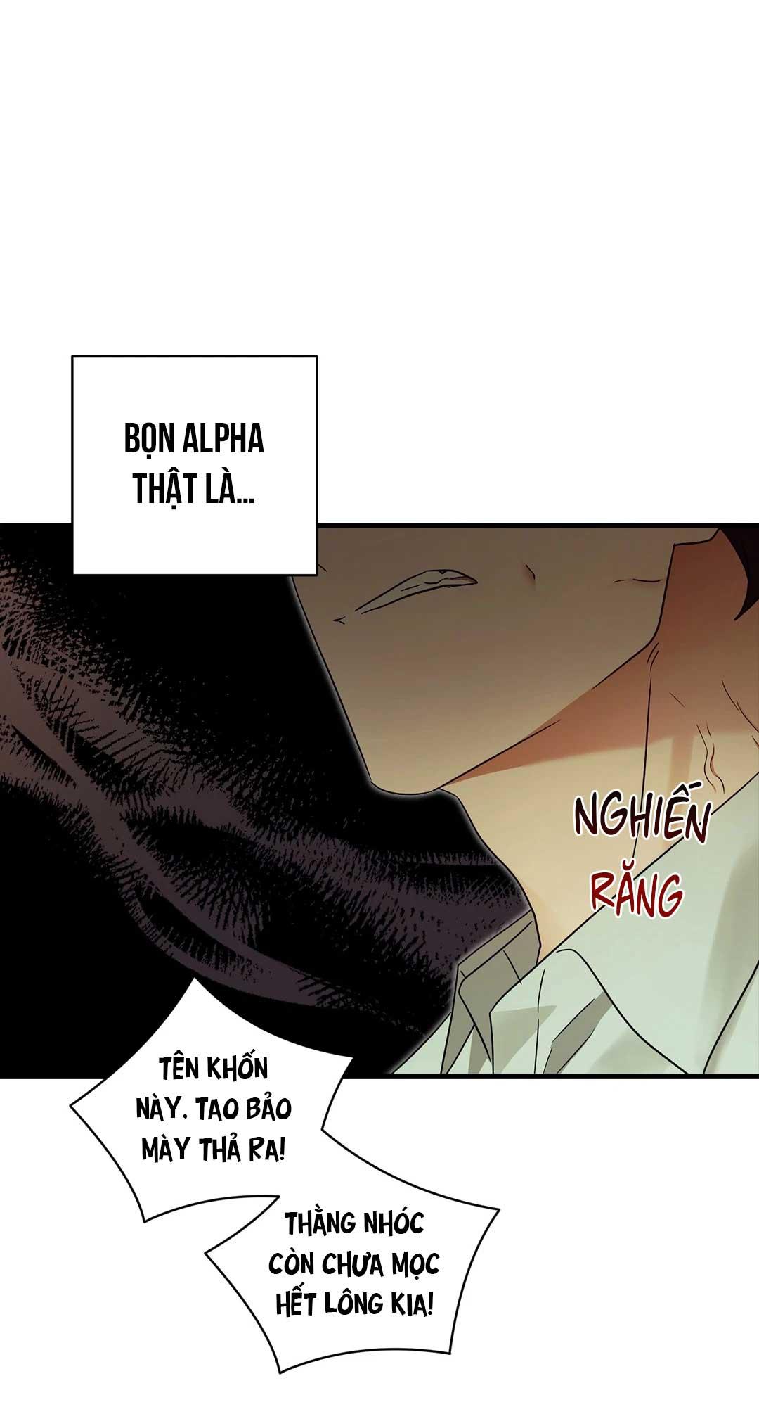 KÝ SỰ ALPHA Chapter 42 - Next 