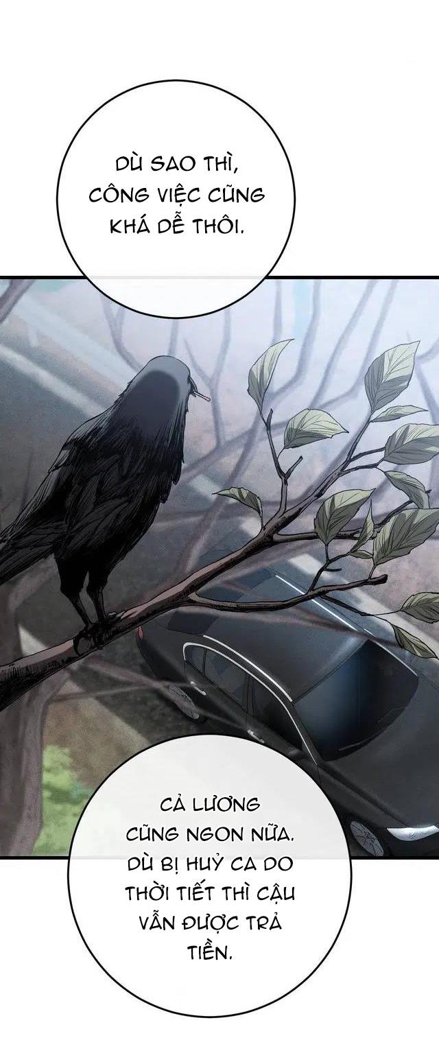 Caddie của riêng tôi Chapter 1 - Next 