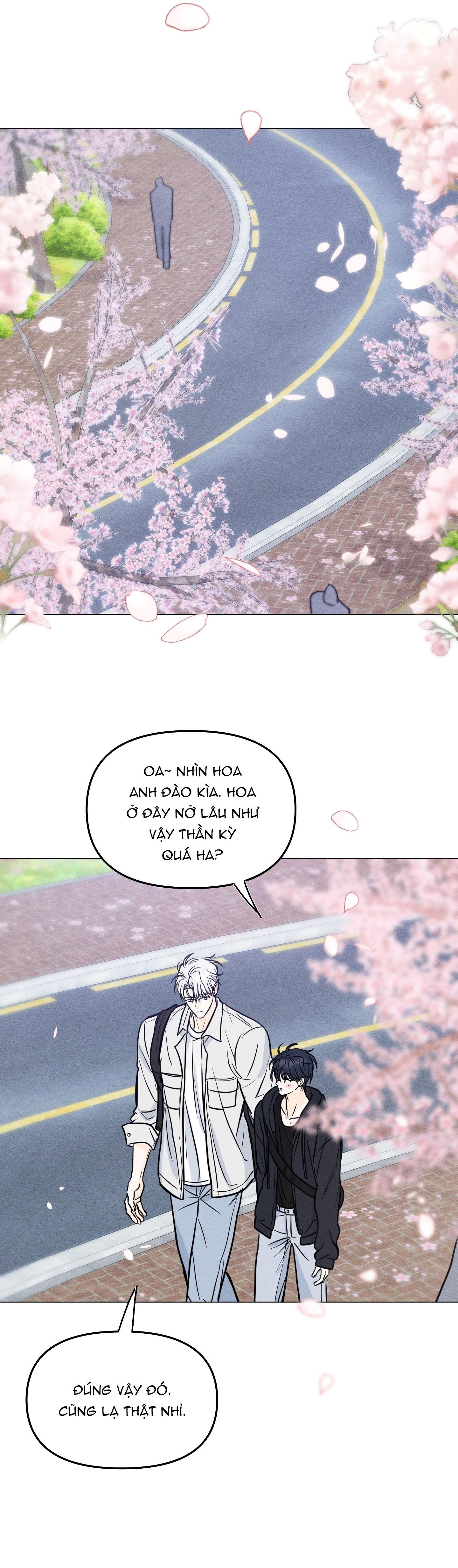 Xe tải tình yêu Chapter 16 - Next 