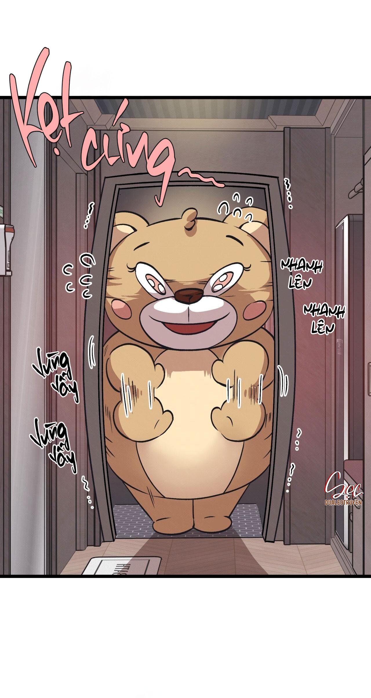 HONEY BEAR Chapter 65 - Next 