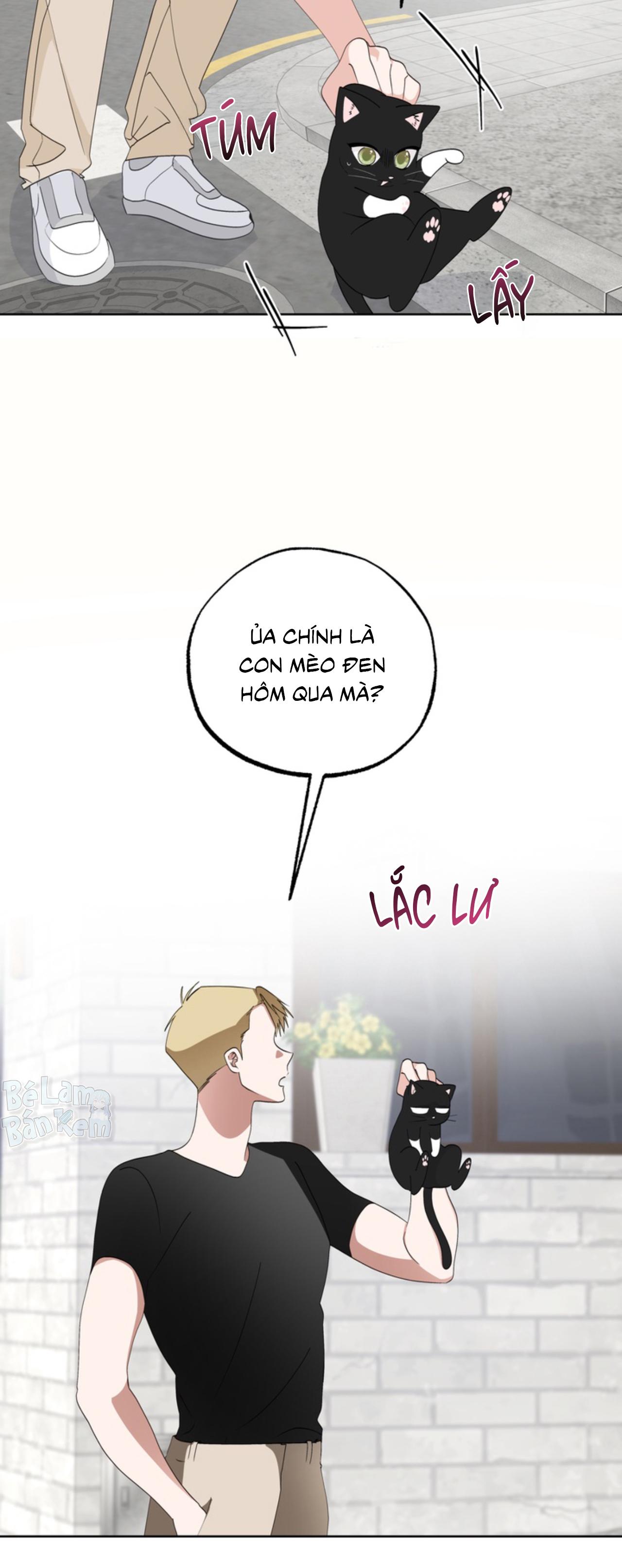 XIN HÃY YÊU THƯƠNG DÙ TÔI LÀ CHUỘT Chapter 6 - Trang 2