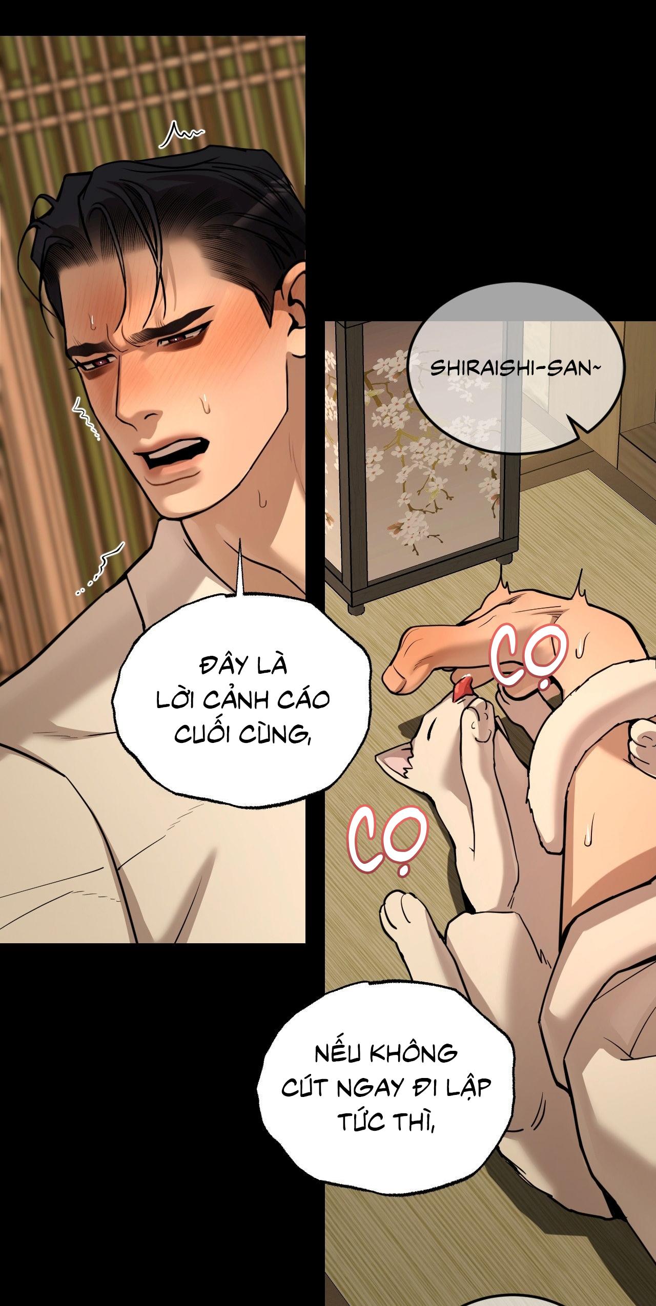 Thiếu niên sò: Bình minh bùng cháy Chapter 9 - Next 