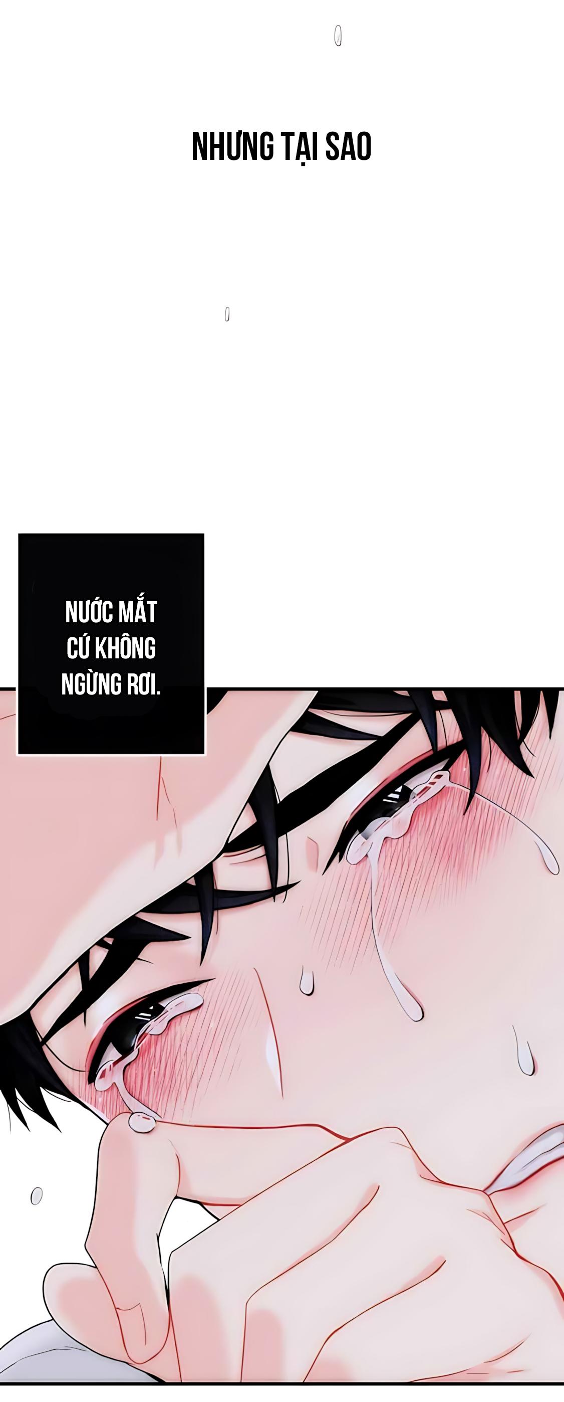 Phải lòng cục cưng nói lắp Chapter 4 - Next Chapter 5