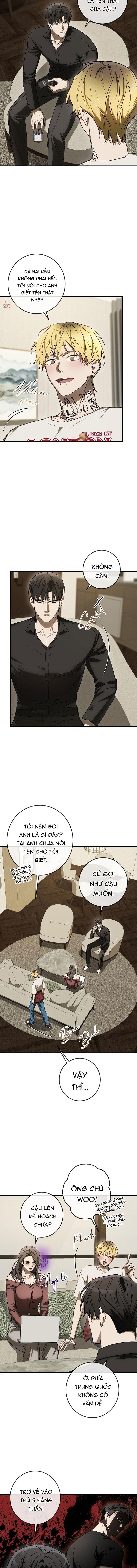 BẢO VẬT Chapter 36 - Trang 2