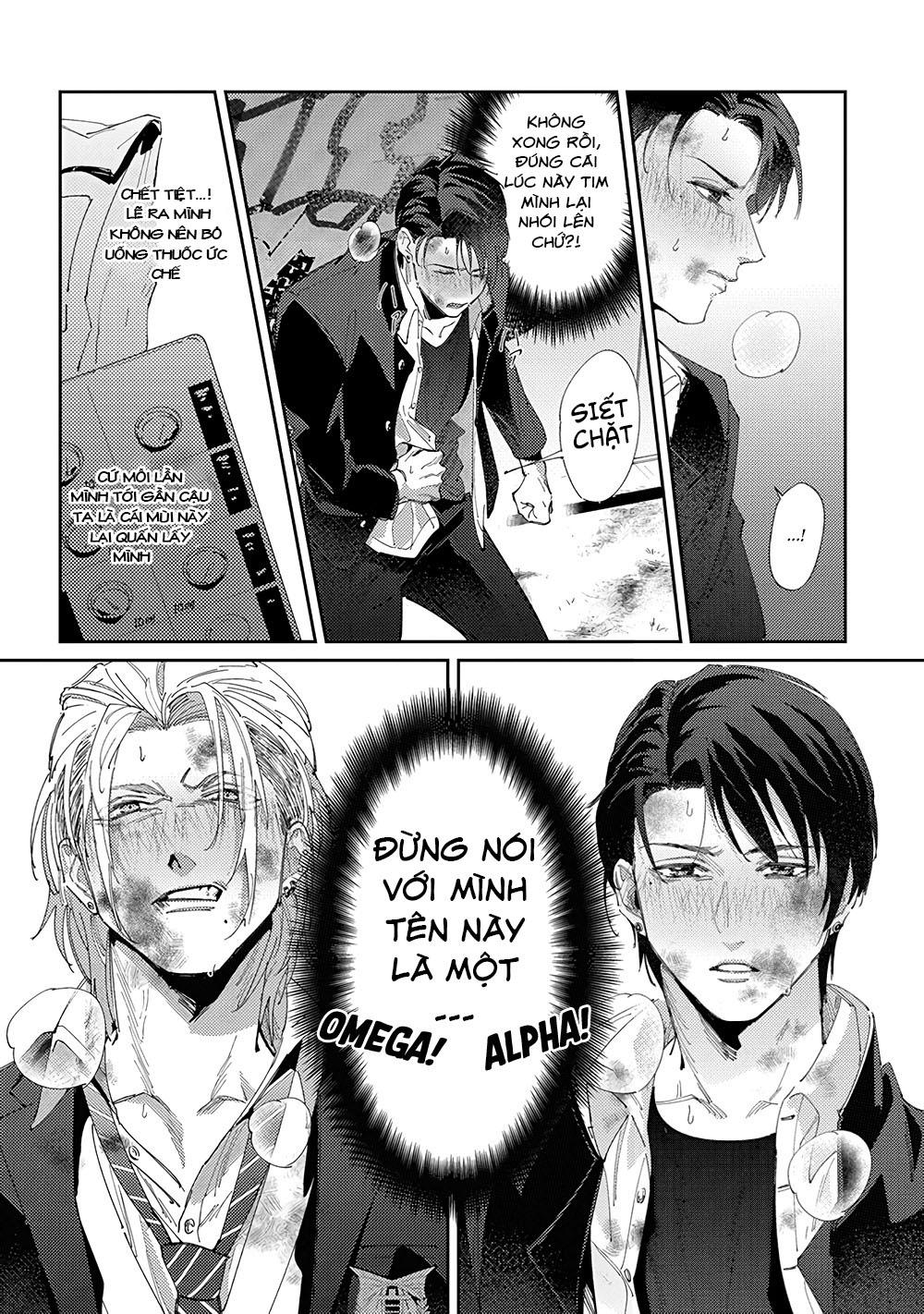 Chuyện Về Cặp Đôi Nhà Shima-chan Chapter 2 - Next 