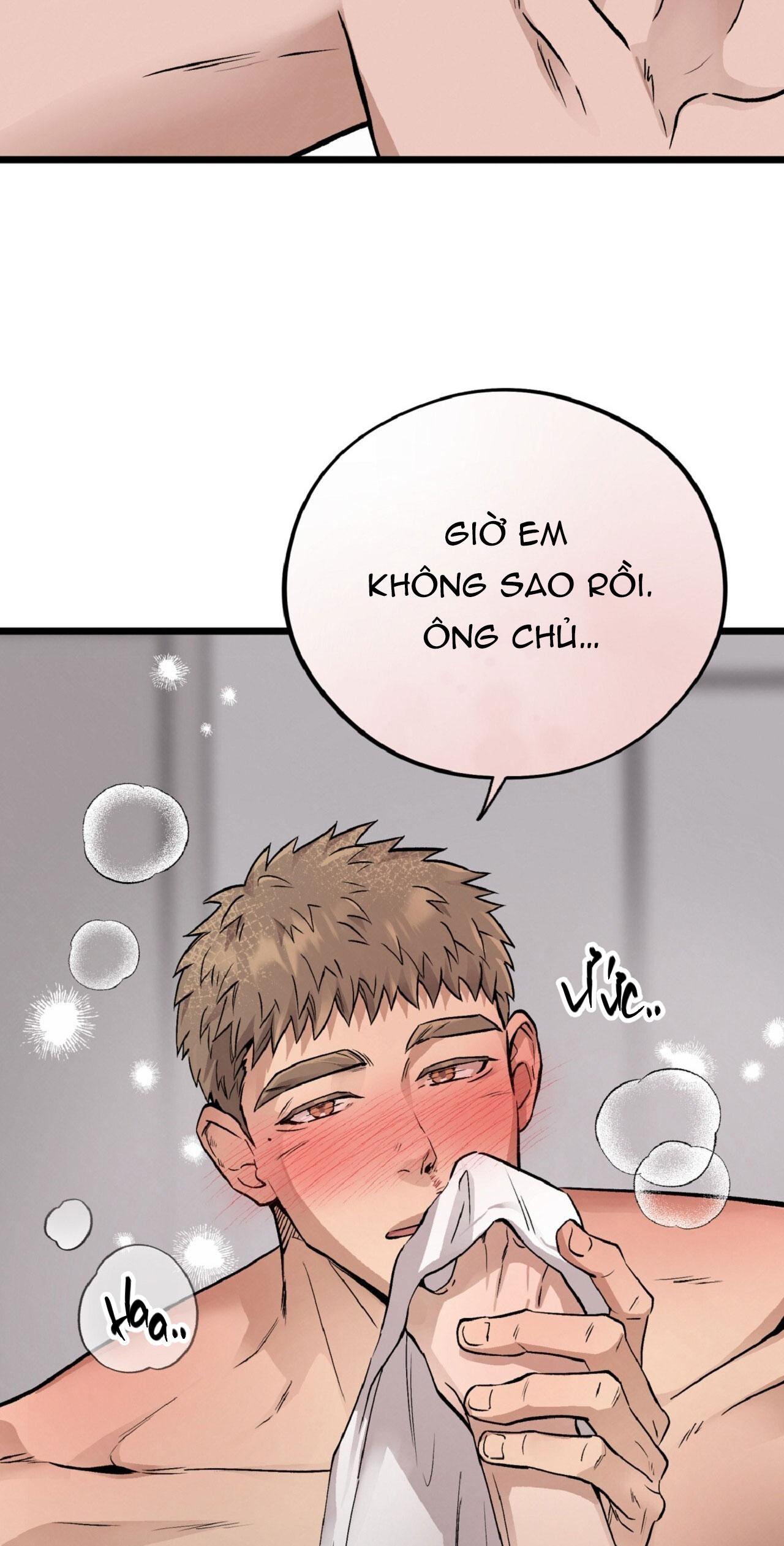 HONEY BEAR Chapter 64 - Next 