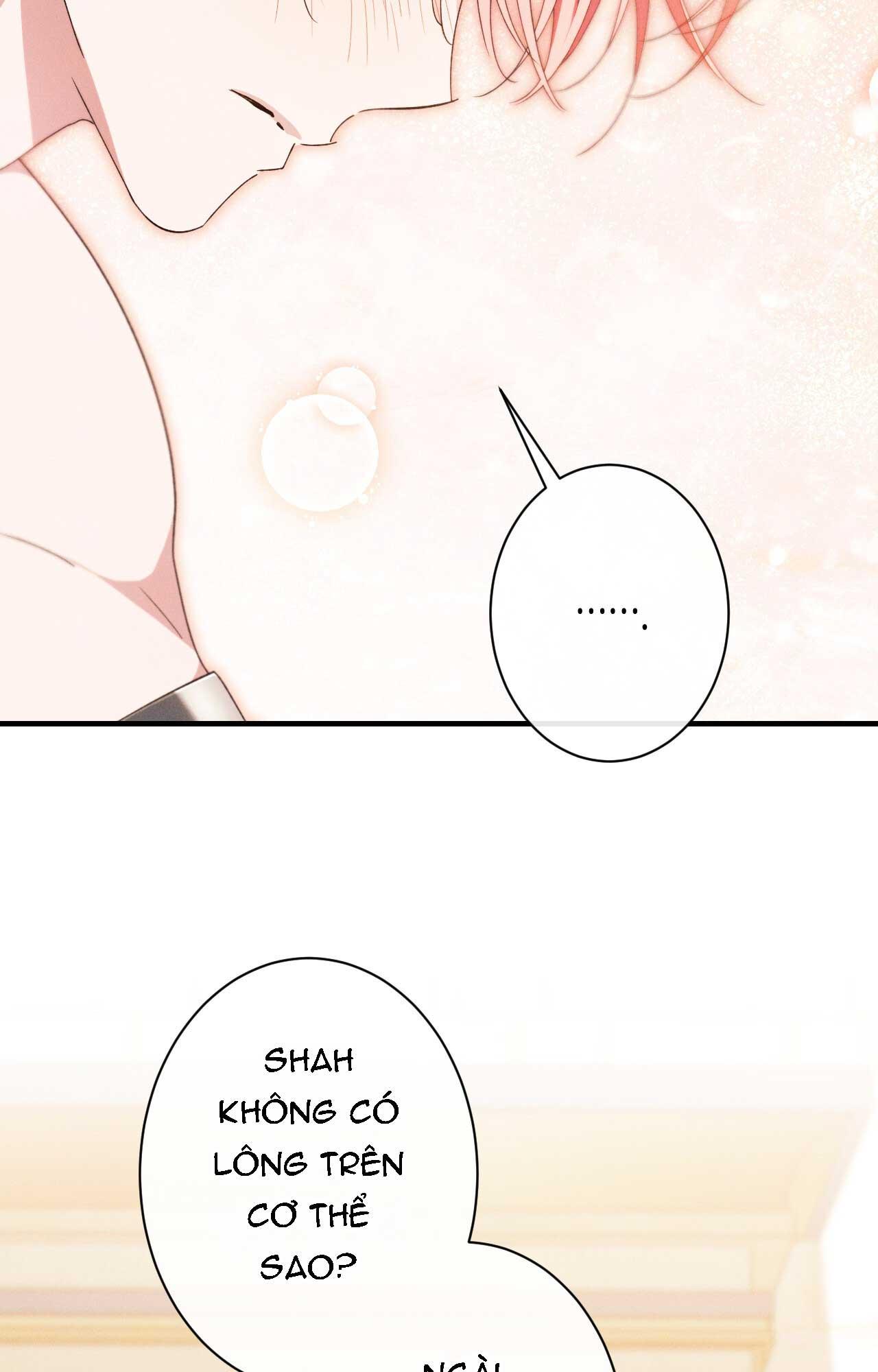 RẮN NUỐT LỰU Chapter 17 - Next 