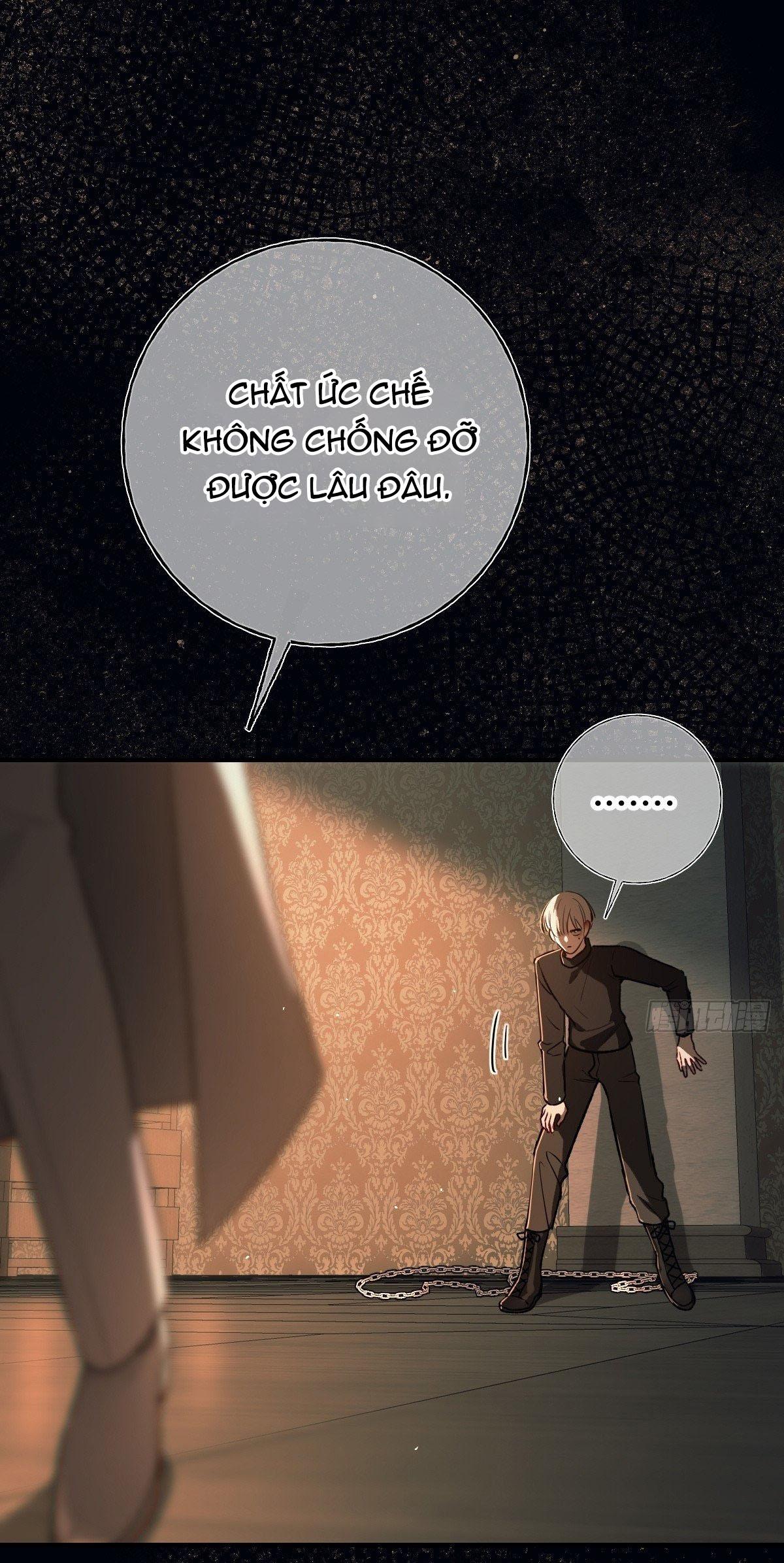 Tình yêu của kẻ khát máu Chapter 28 - Next 