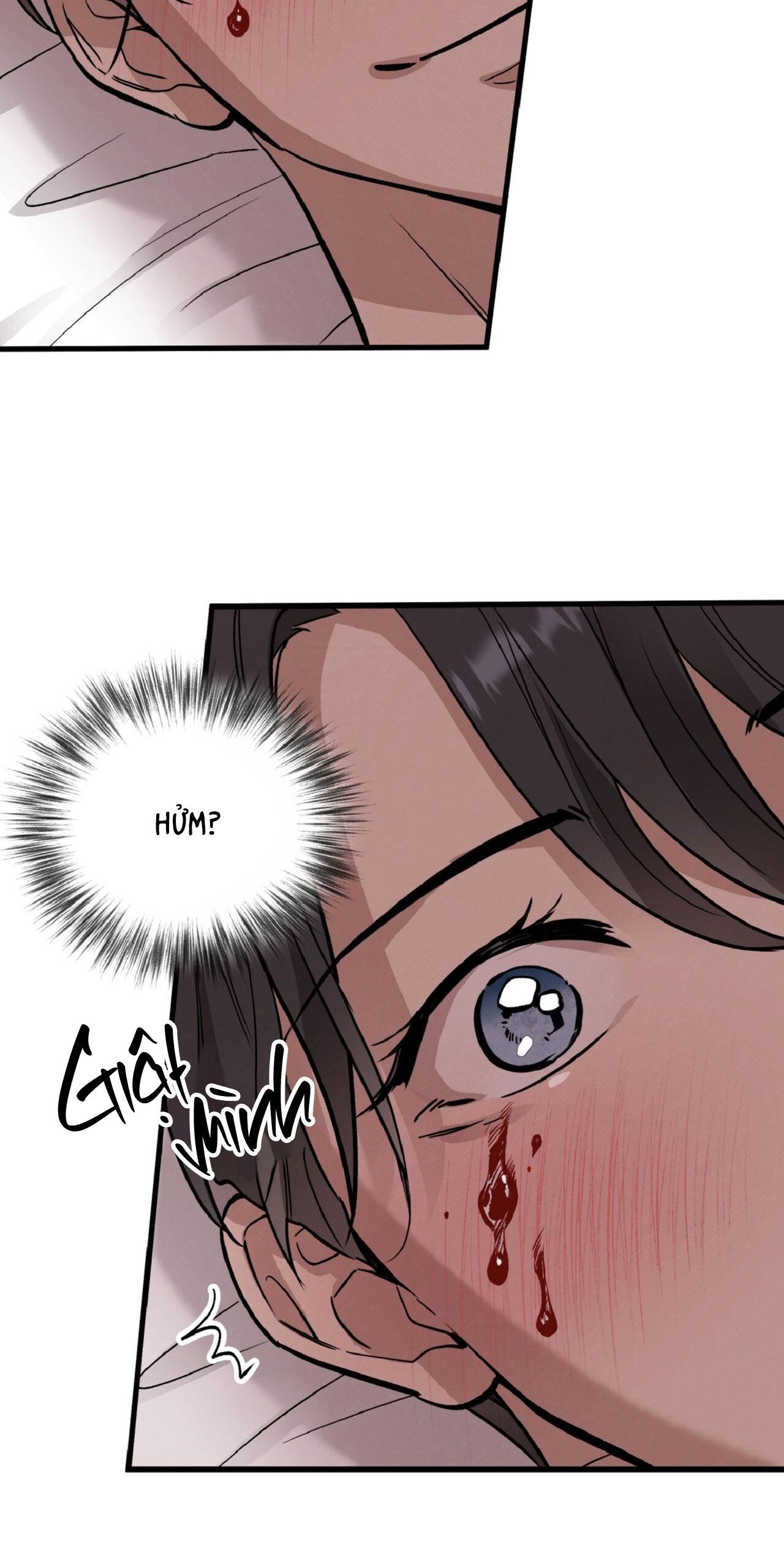 HONEY BEAR Chapter 64 - Next 