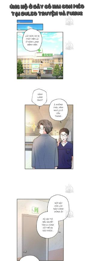 Mưa Giông Chapter 66 - Next Chapter 67