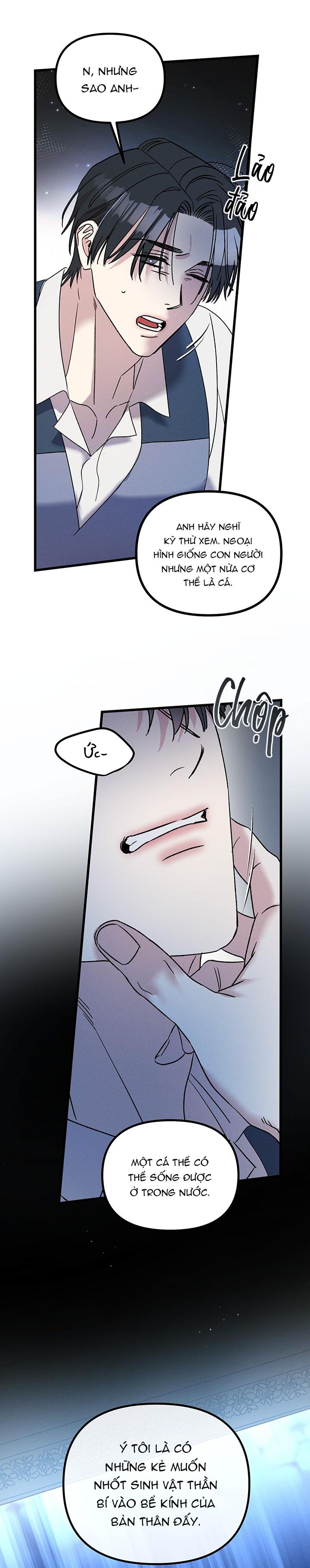Mermaid's Cradle Chapter 10 - Next Chapter 11