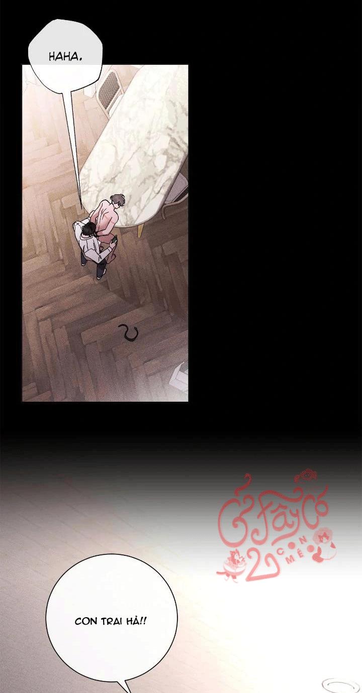 Người Yêu Của Anh Trai Tôi Chapter 49 - Next Chapter 50