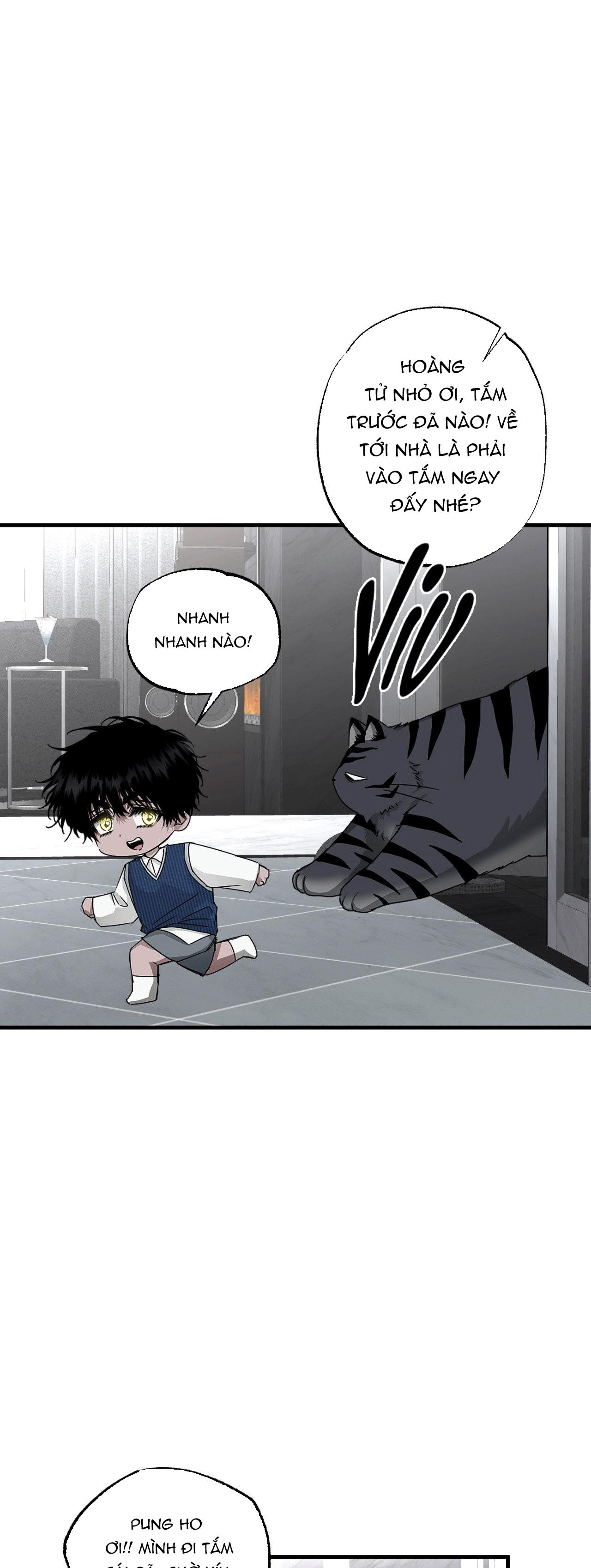 MẮT BÃO Chapter 14 - Next 