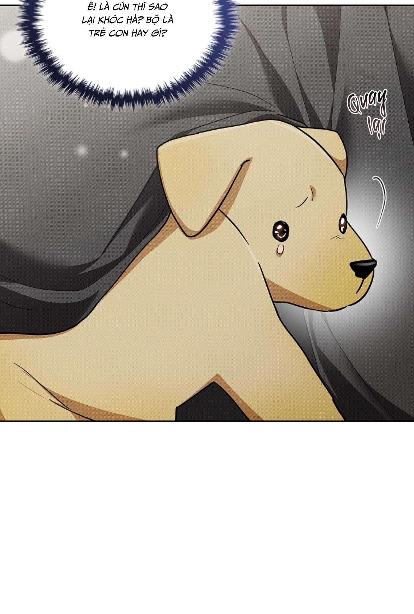 ĐỪNG CHẠM VÀO CÚN CON CỦA TÔI Chapter 47 NT 3 - Next 