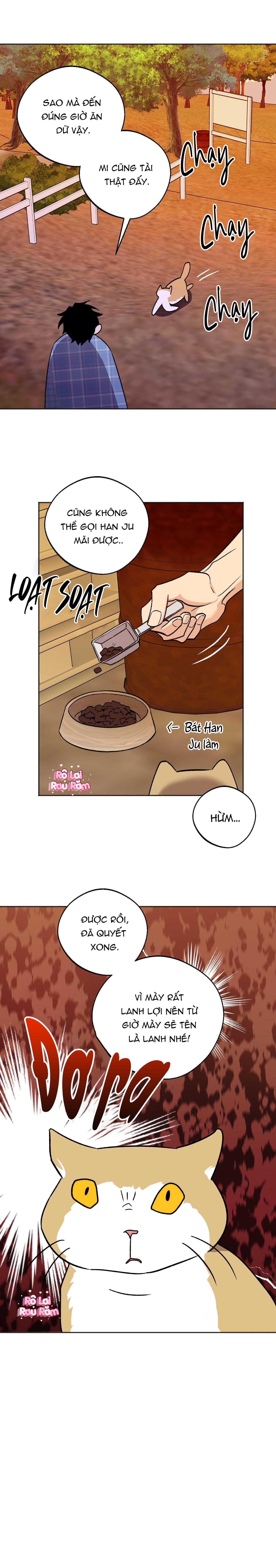 NGHI LỄ CẦU NGUYỆN Chapter 16 - Next 