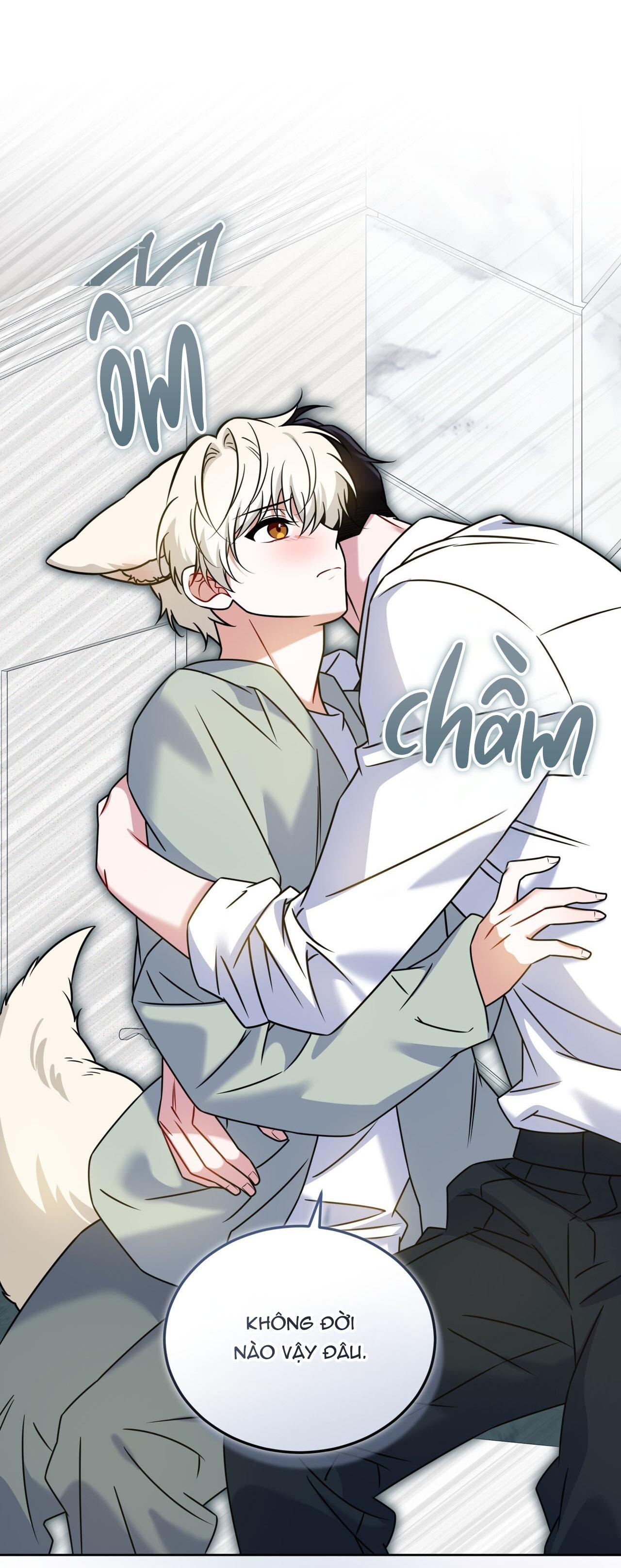 NƯỚC UỐNG TÌNH YÊU CỦA CÁO PLIN Chapter 47 - Next Chapter 48