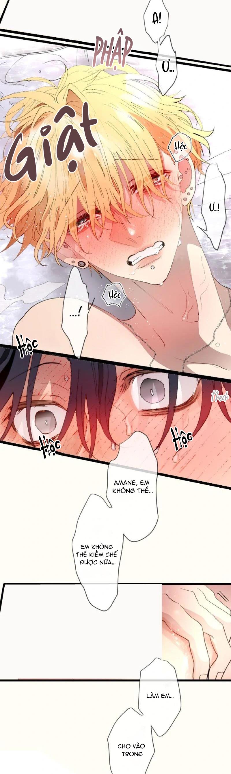 Kẻ Theo Dõi Biến Thái Của Tôi Chapter 146 - Next 