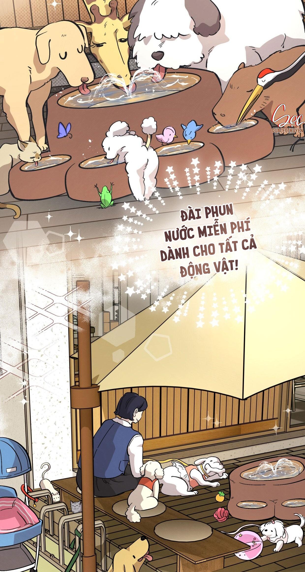 HONEY BEAR Chapter 72 - Next Chapter 73