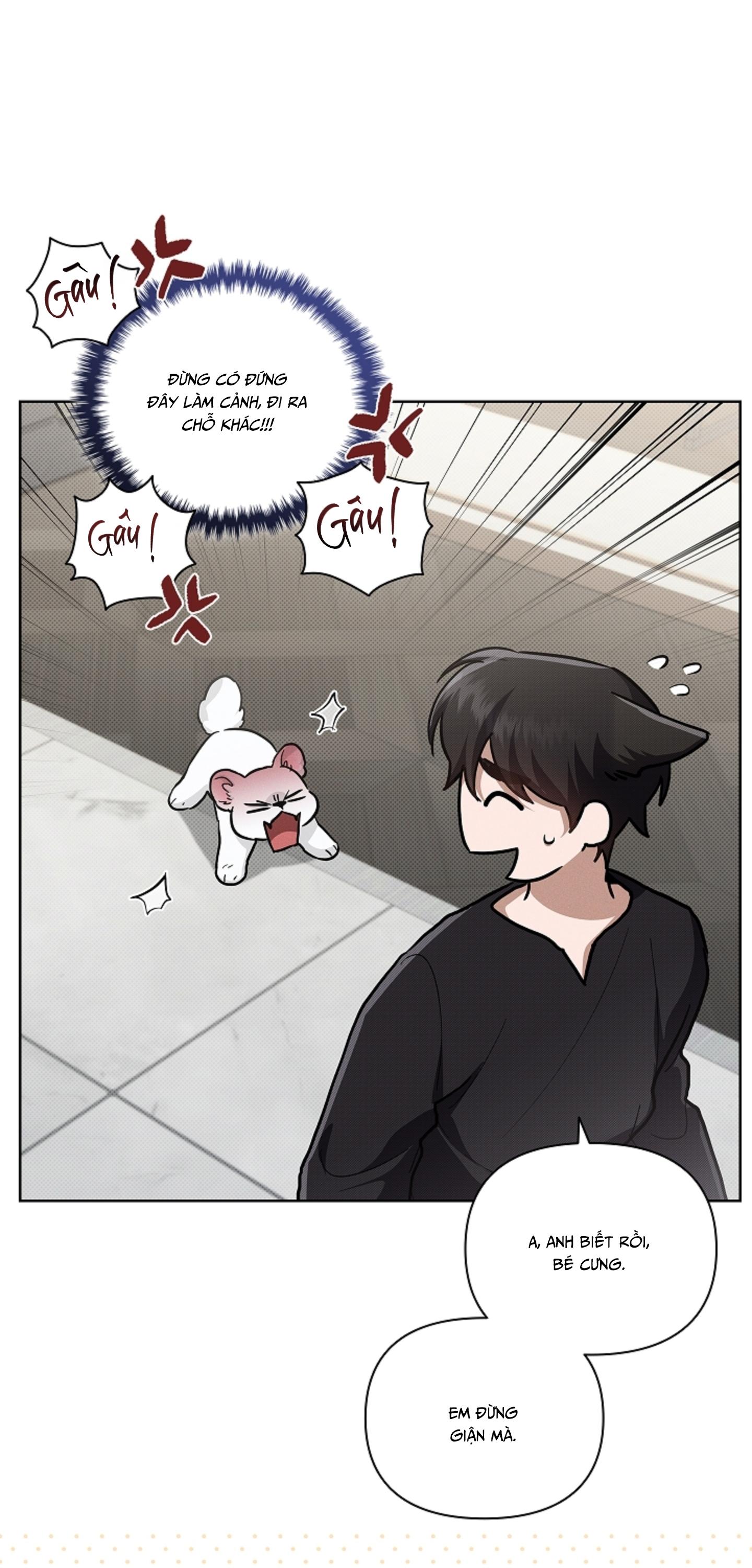 ĐỪNG CHẠM VÀO CÚN CON CỦA TÔI Chapter 47 NT 3 - Next 