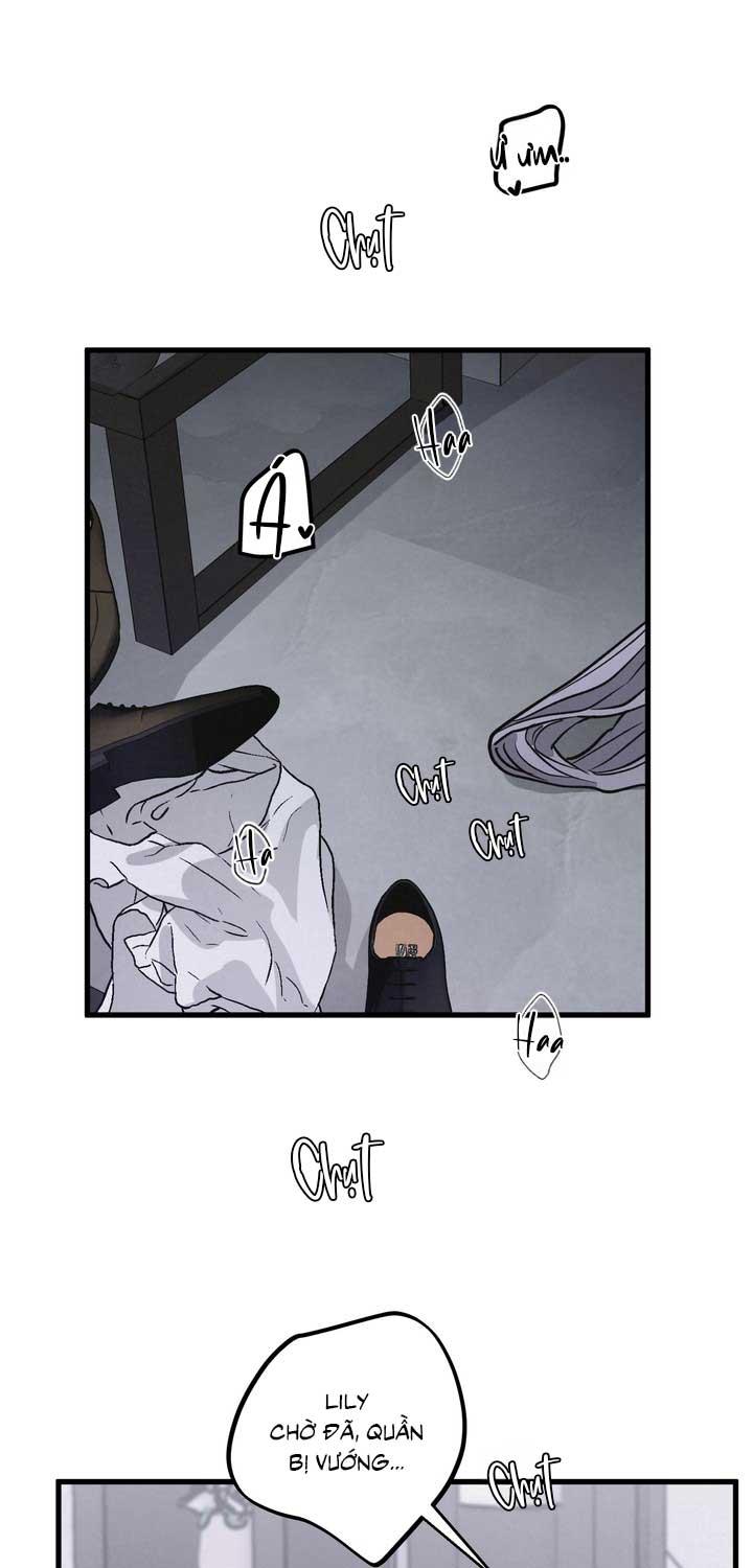 CẶP ĐÔI HOÀN HẢO Chapter 51 - Next 