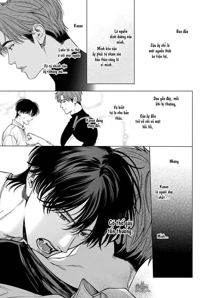 Viên Grarnet Trong Bóng Tối Chapter 5 - Next Chapter 6