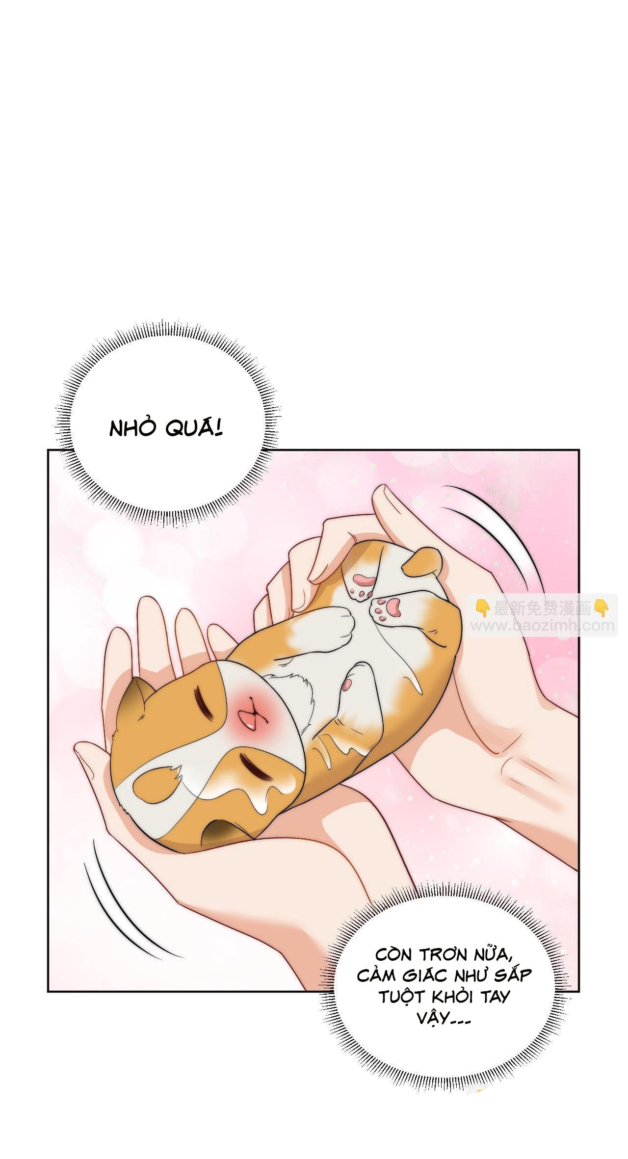 Ký túc xá nam phòng 303 Chapter 255 - Next Chapter 256