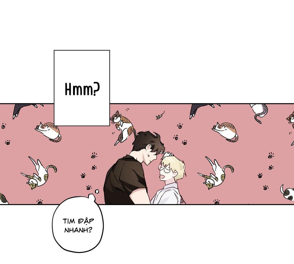 Phù Thủy Xứ Eden Chapter 12 - Next 