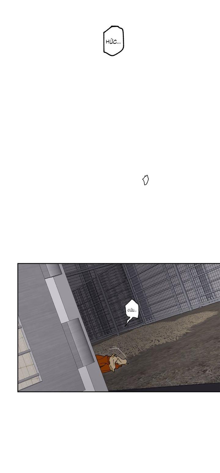Mr.A's Farm Chapter 7 - Trang 2