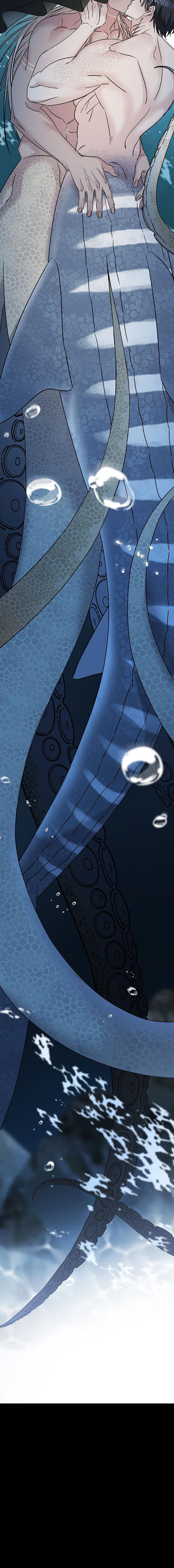 Mermaid's Cradle Chapter 11 - Next 