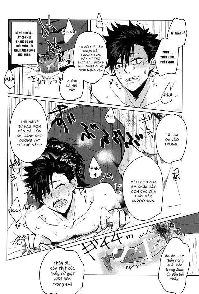 Tổng hợp oneshot Chapter 267 - Next 