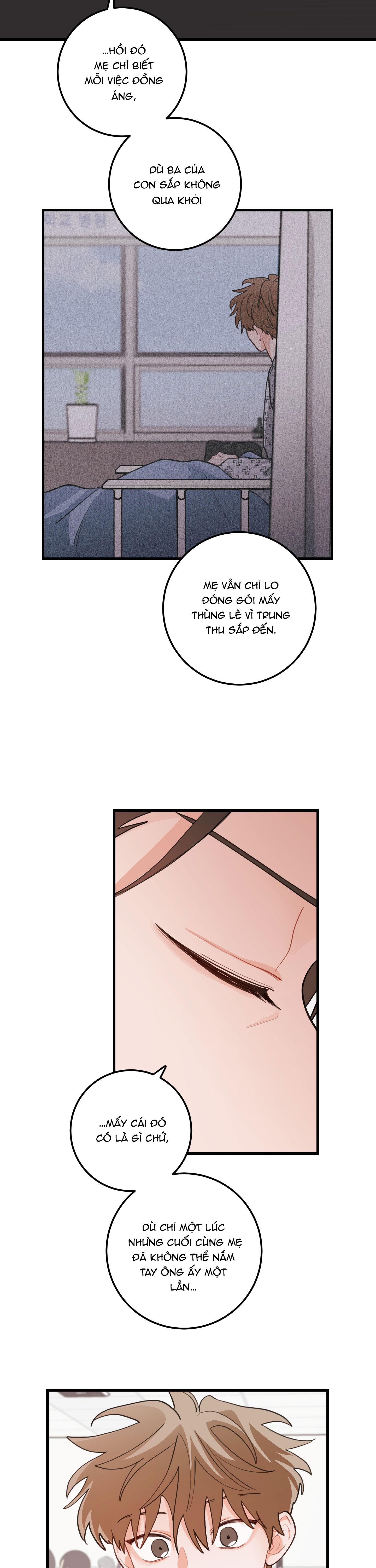 CHUYỆN TÌNH HOA LÊ NỞ Chapter 83 - Next Chapter 84