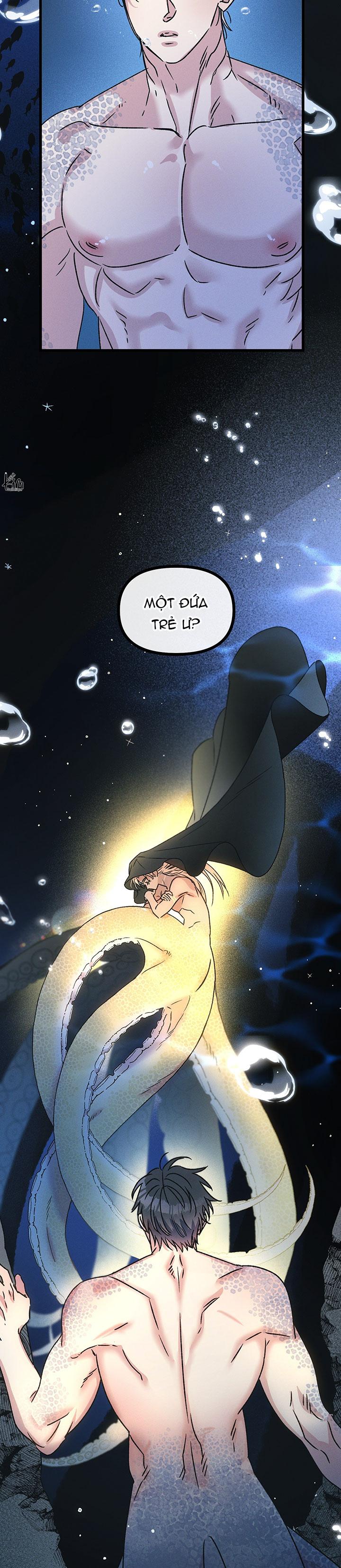 Mermaid's Cradle Chapter 1 - Next 