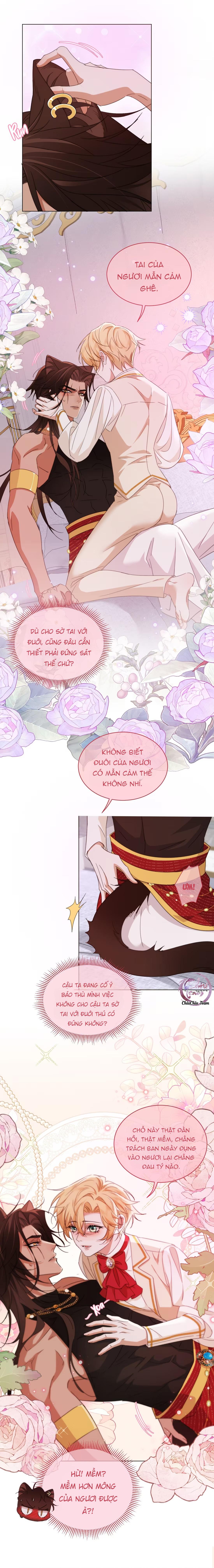 Báo Đen Chiếm Đoạt Hoàng Tử Yếu Đuối Chapter 9 - Next Chapter 10