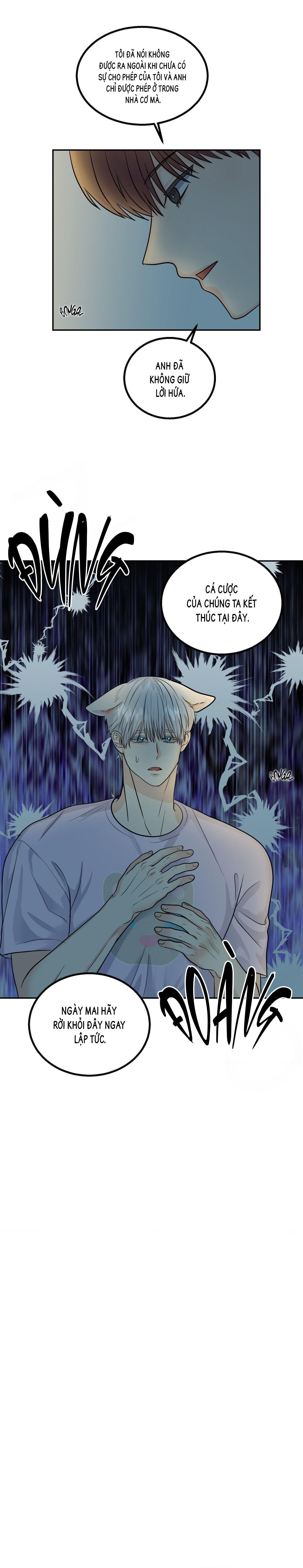 Hãy ôm em khi trăng rằm lên Chapter 11 - Next 