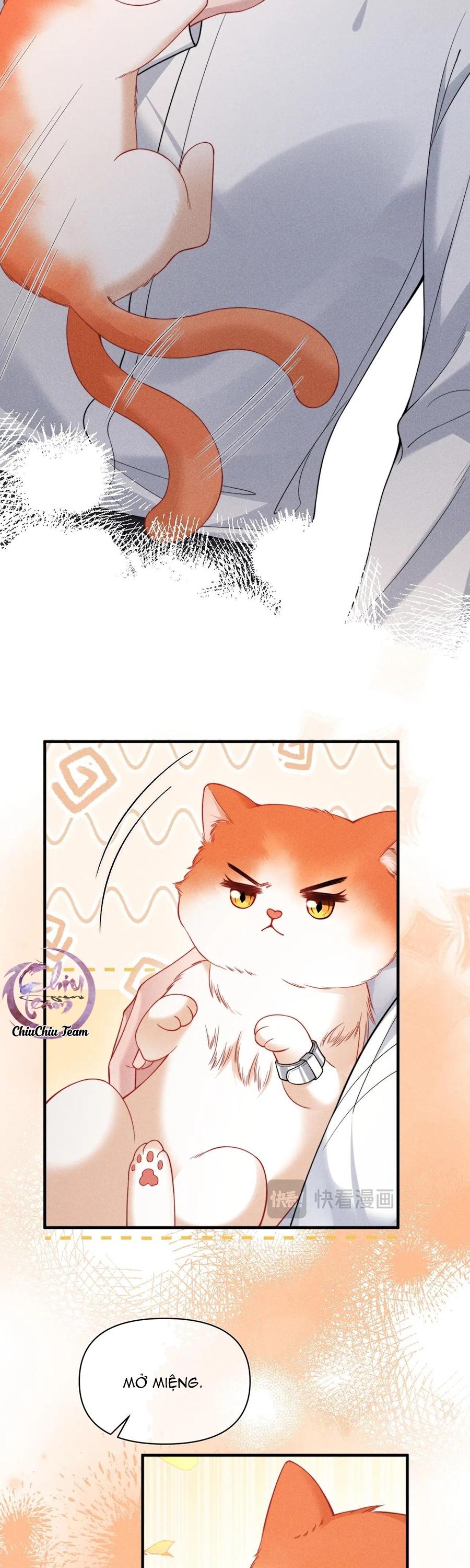 Nuông Chiều Sinh Hư Chapter 40 - Next 