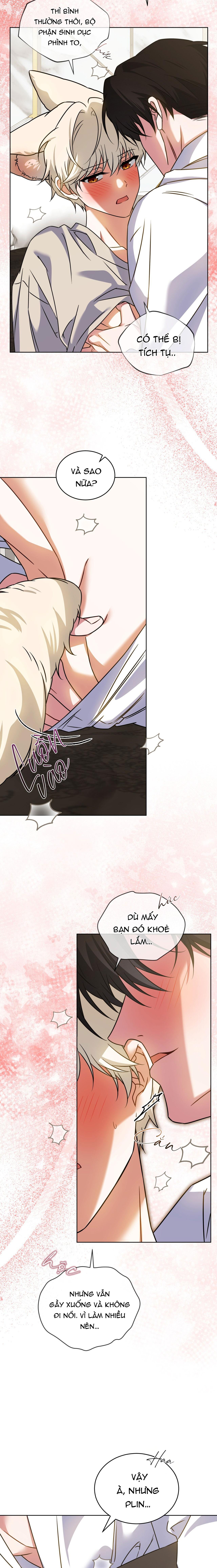 NƯỚC UỐNG TÌNH YÊU CỦA CÁO PLIN Chapter 43 - Next 