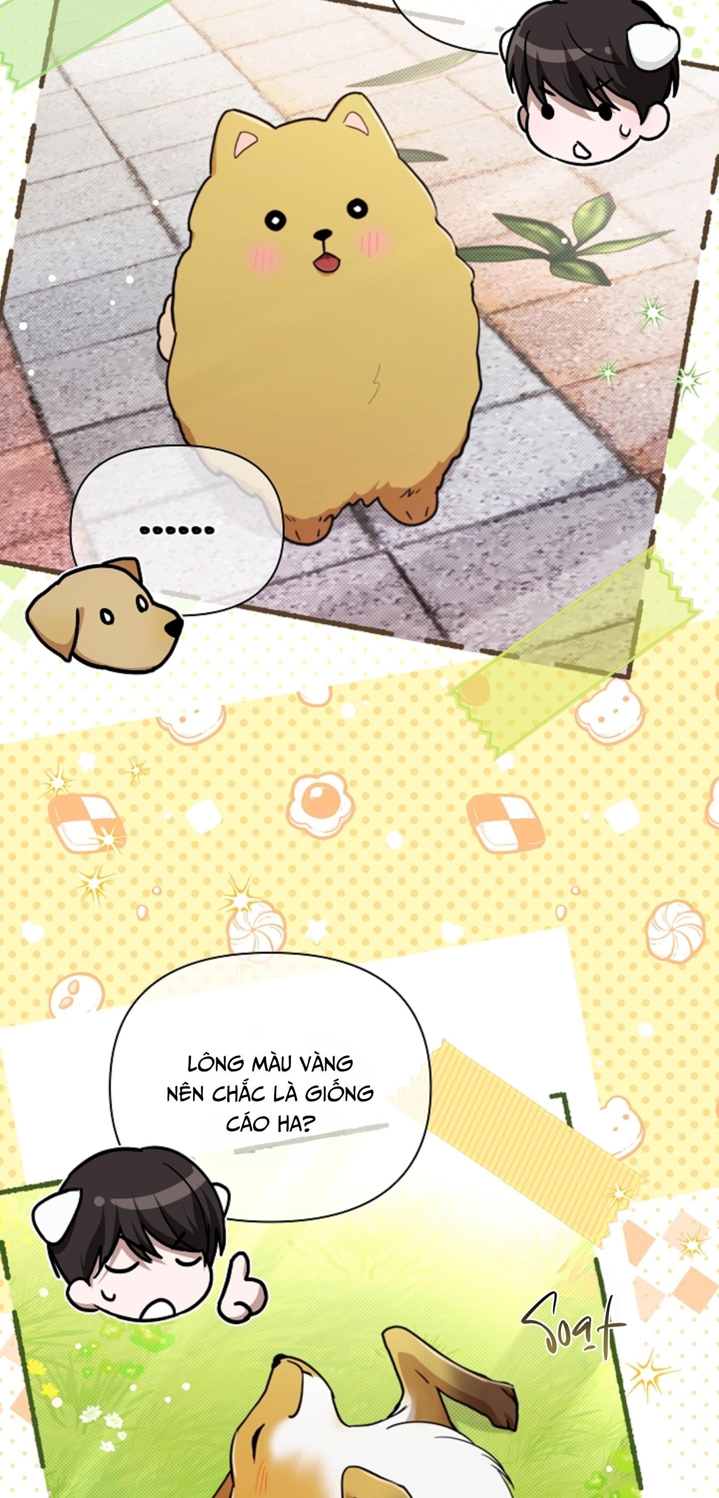 ĐỪNG CHẠM VÀO CÚN CON CỦA TÔI Chapter 50 NT6 - Next 