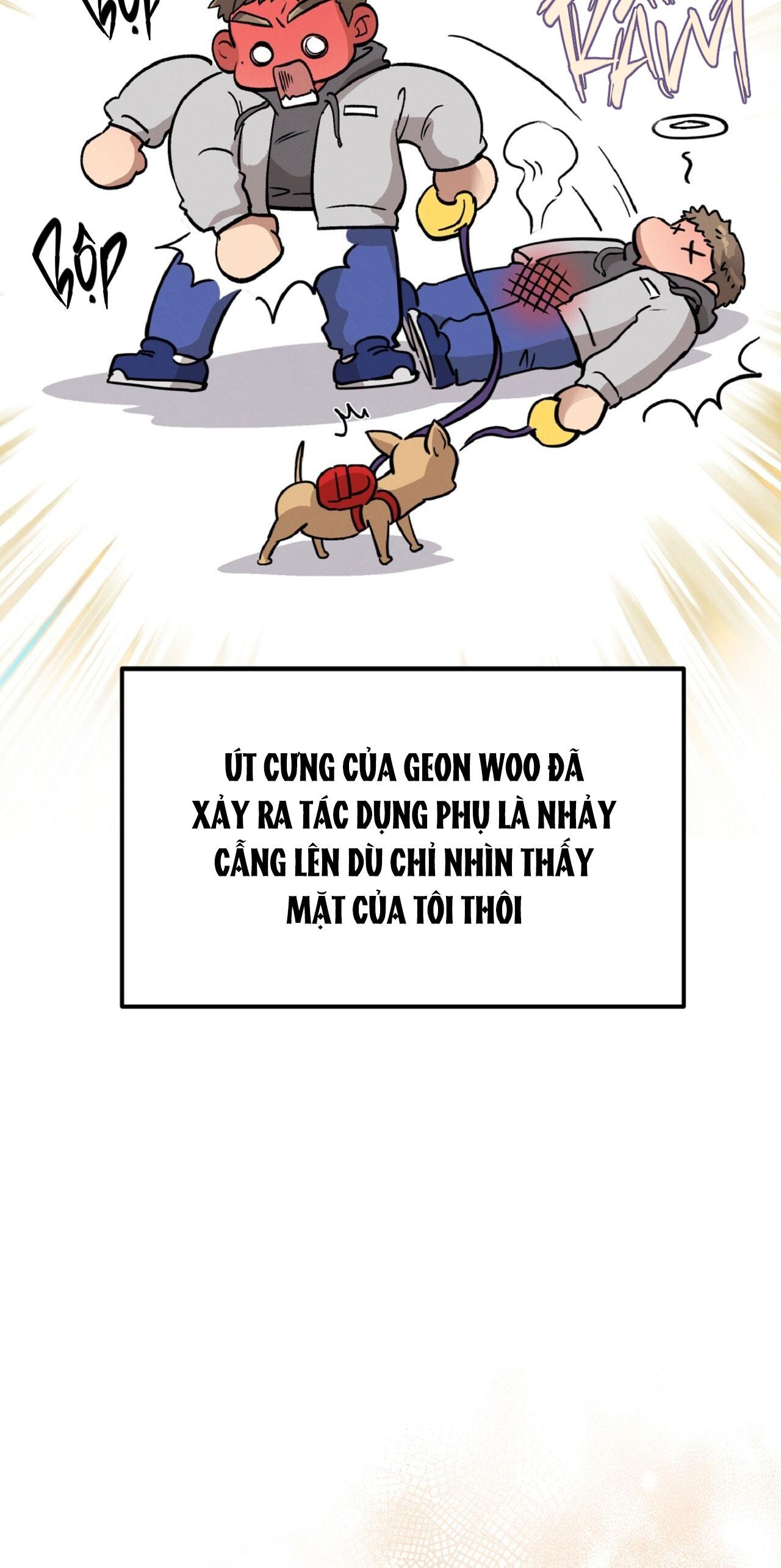 HONEY BEAR Chapter 64 - Next 