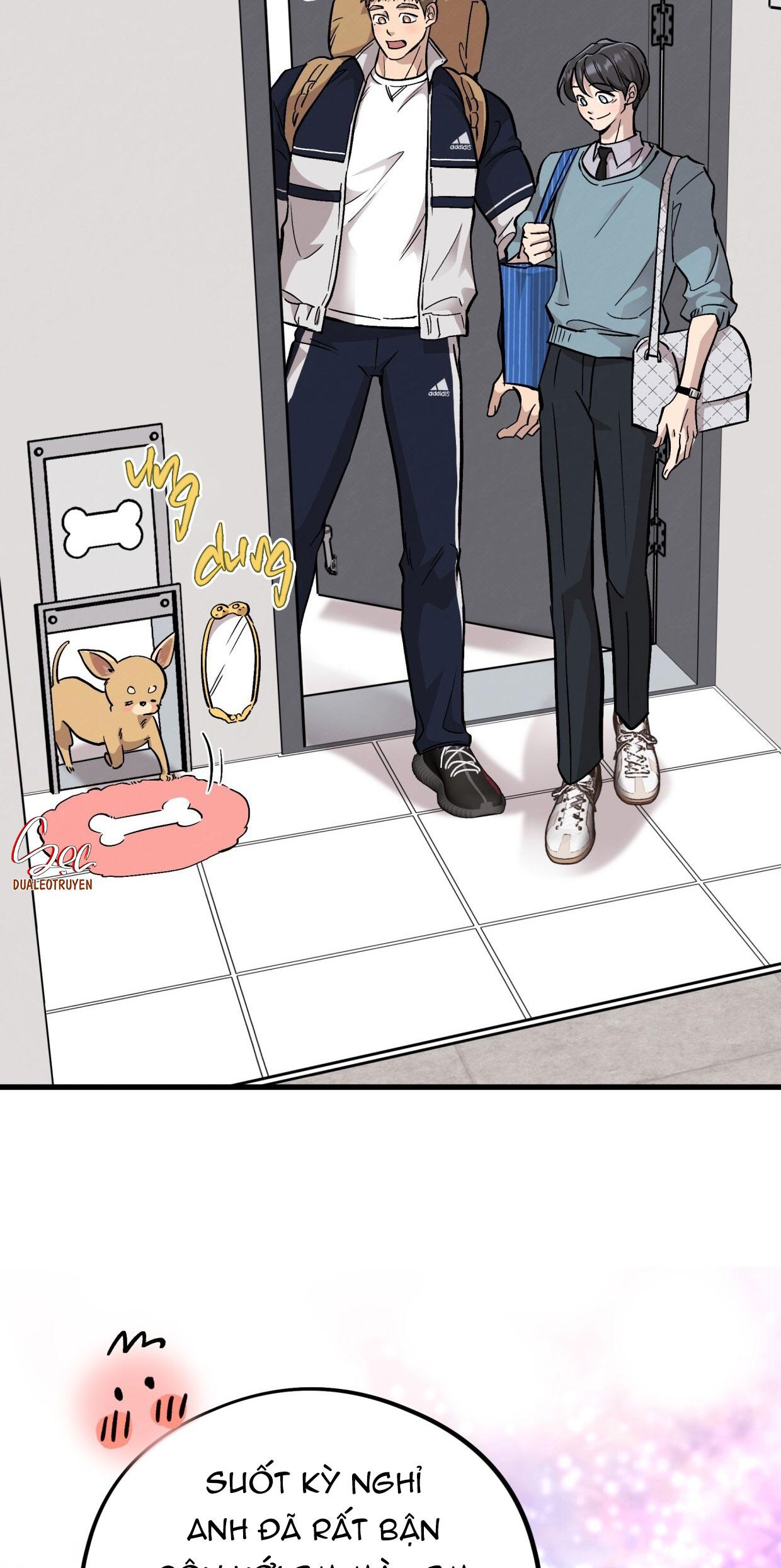 HONEY BEAR Chapter 72 - Next Chapter 73