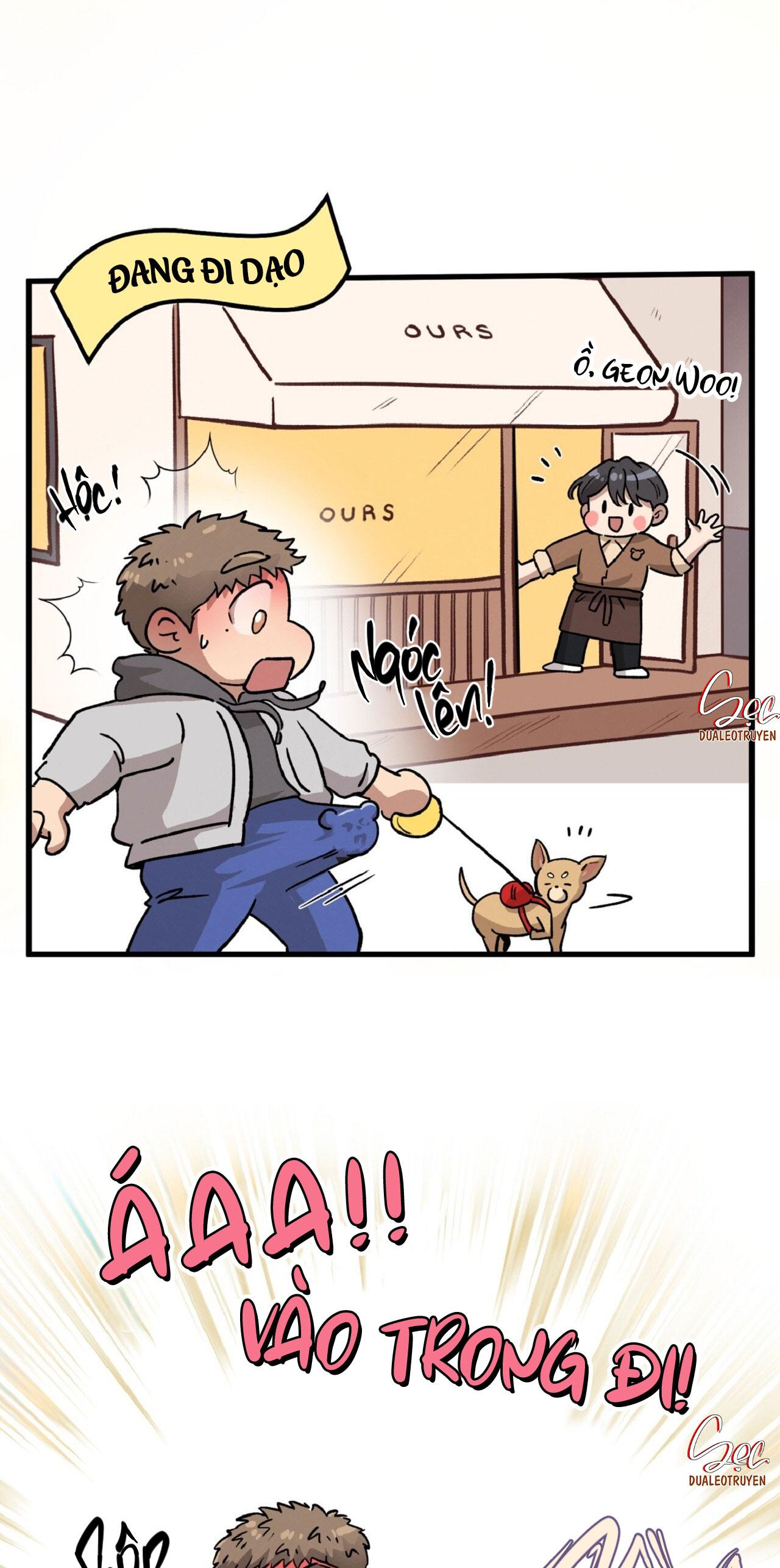 HONEY BEAR Chapter 64 - Next 
