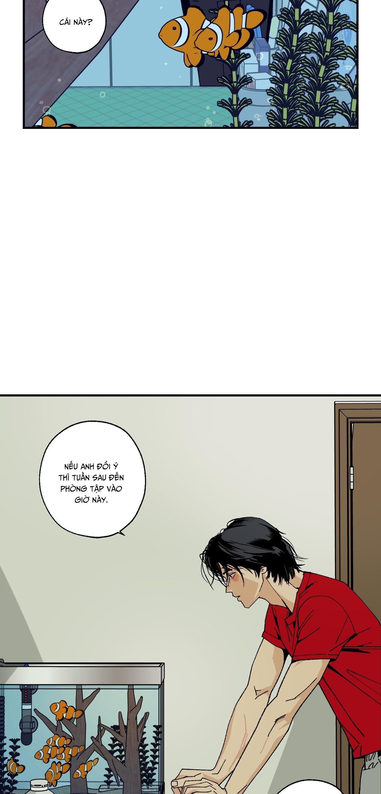 CHỦ NGHĨA HÒA BÌNH Chapter 5 - Next 