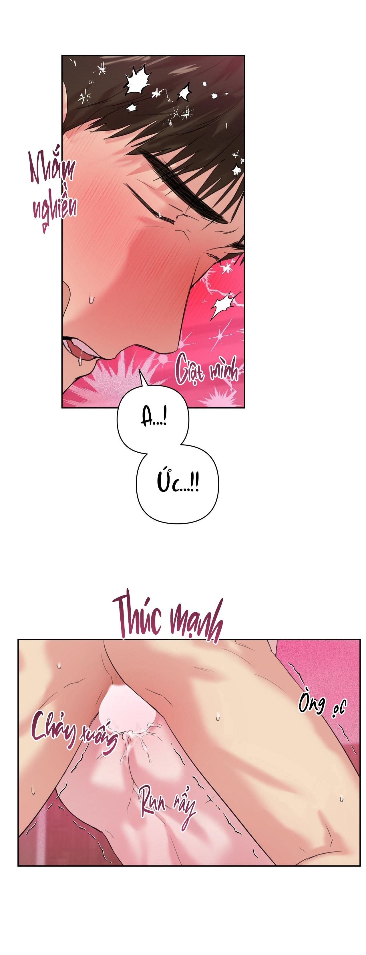 TU HÚ KHÔNG RỜI KHỎI TỔ Chapter 13 - Next 