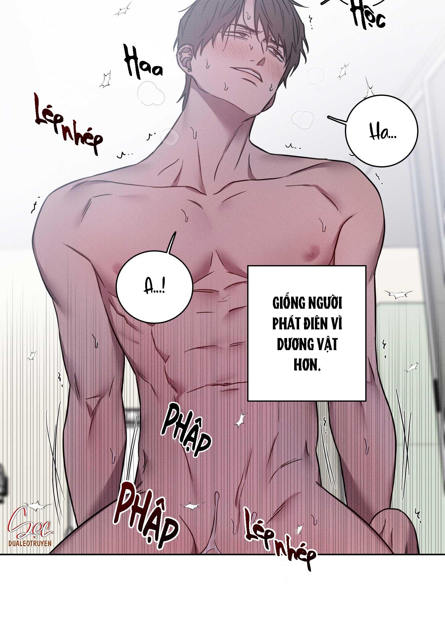 VỤ ÁN CON CU BIẾN MẤT Chapter 10 - Next 