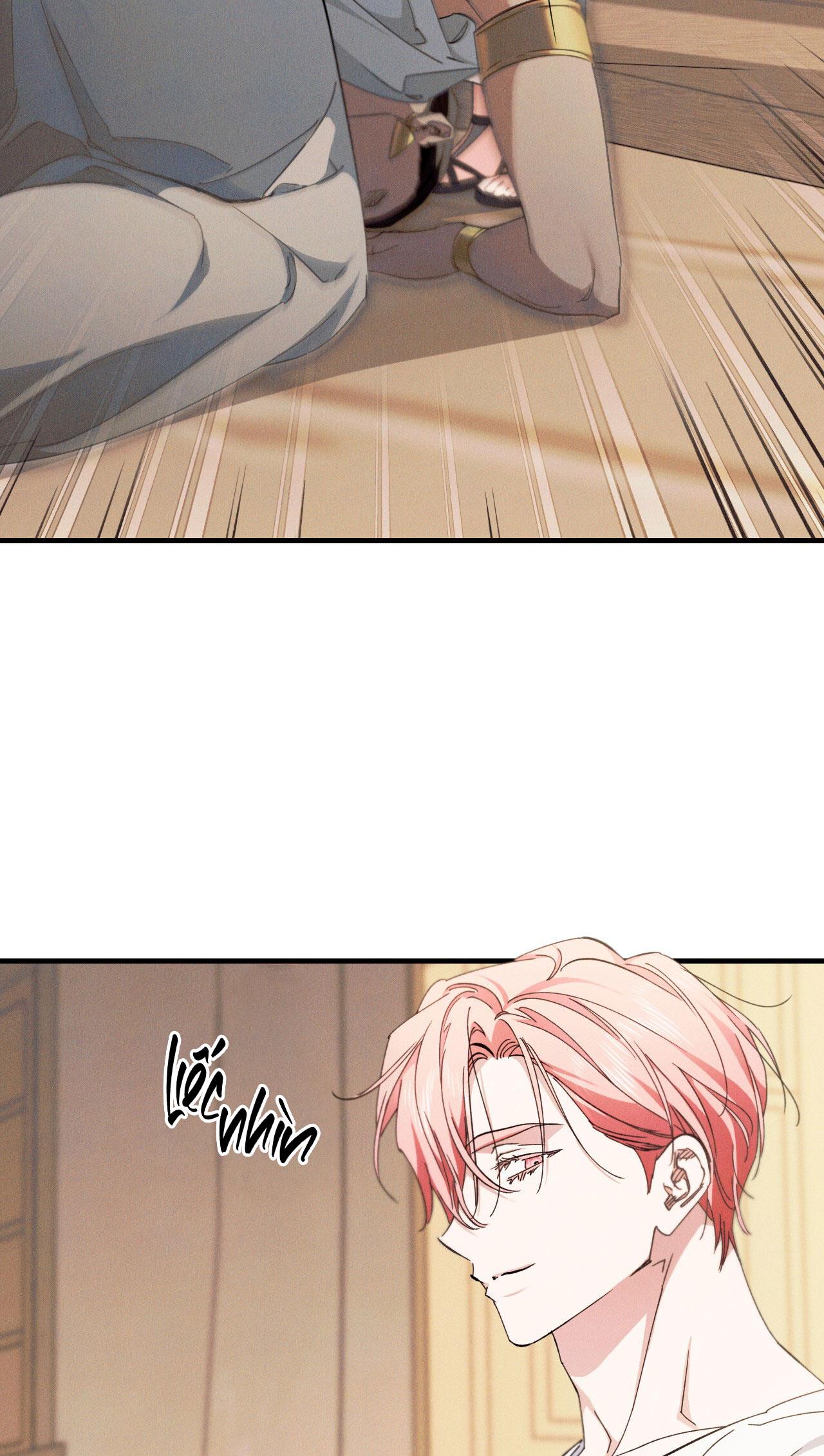 RẮN NUỐT LỰU Chapter 24 - Trang 2