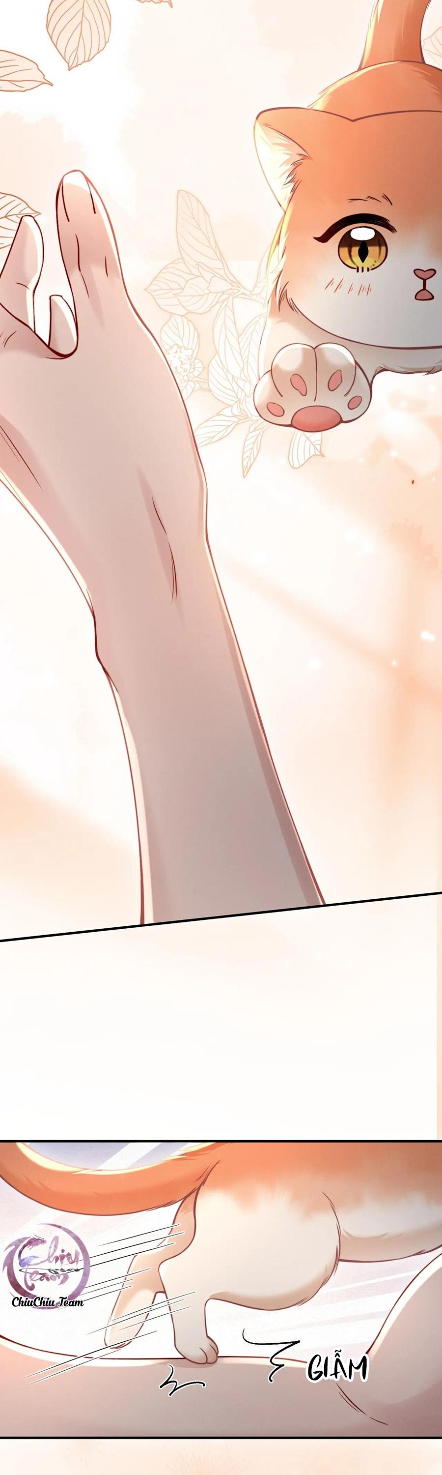 Nuông Chiều Sinh Hư Chapter 44 - Next 