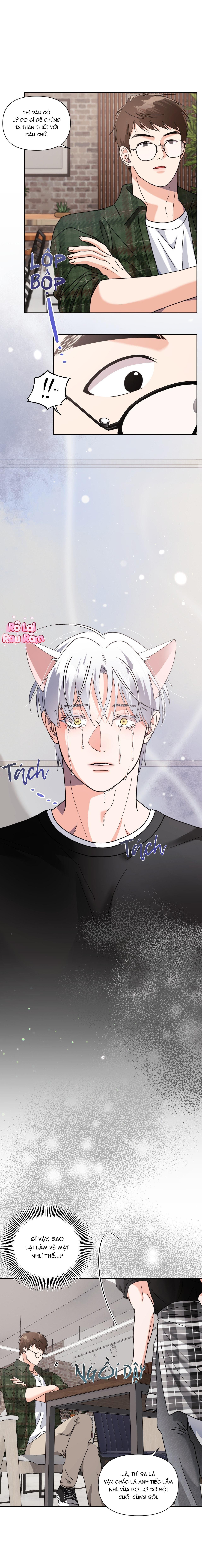 Cậu ấy thật là đáng yêu Chapter 30 END SS1 - Next 