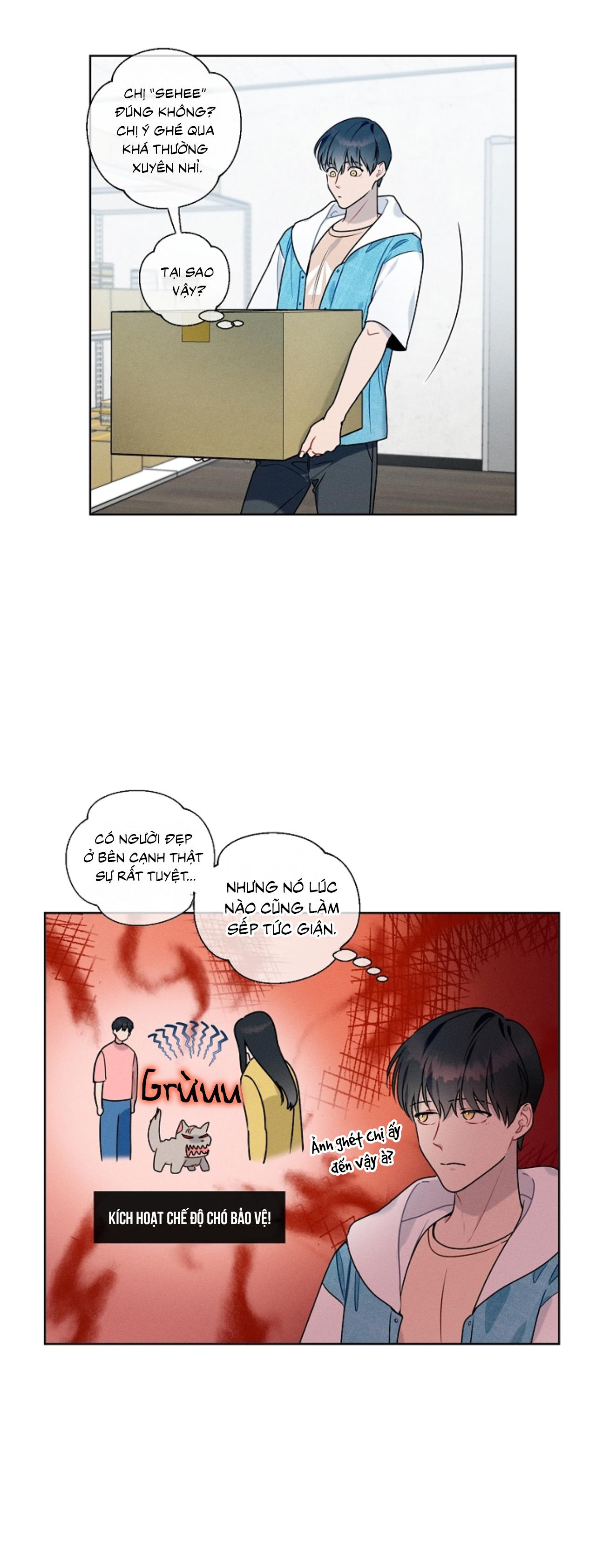 Tố Cáo Sếp Tôi Chapter 31 - Next Chapter 32