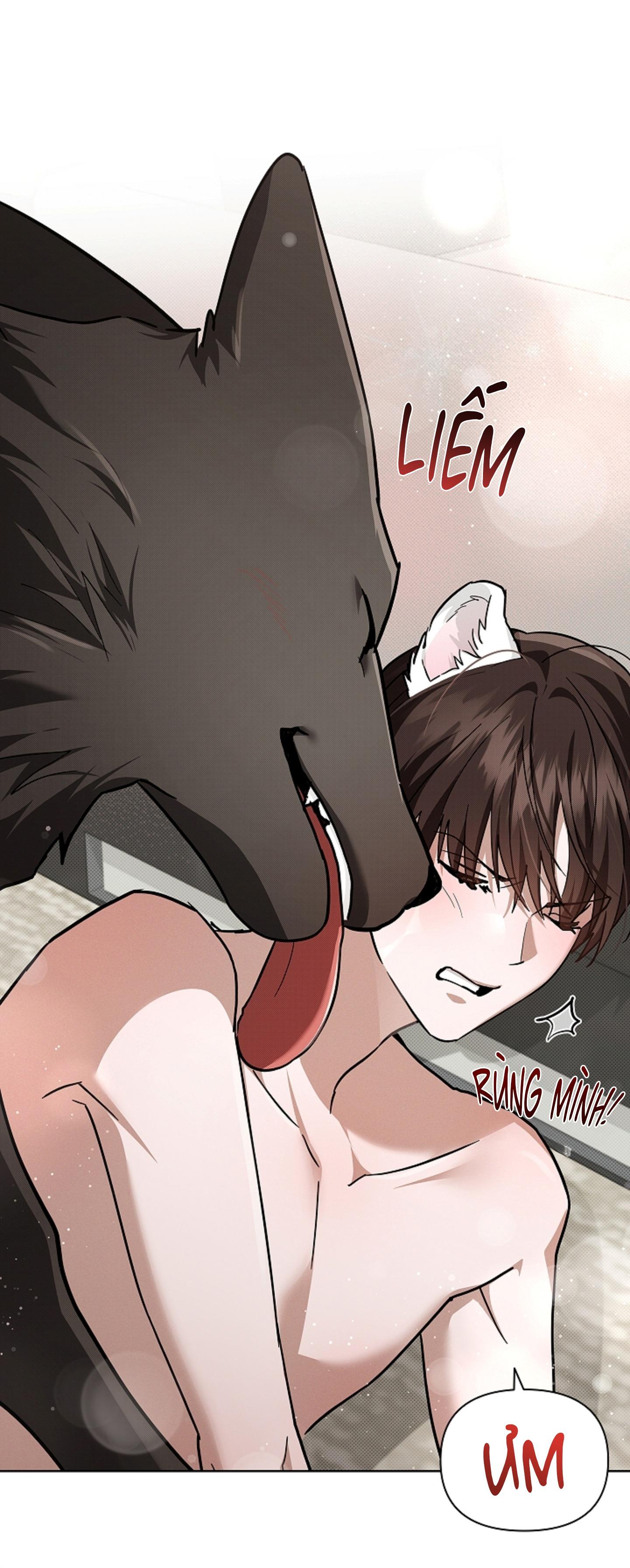 ĐỪNG ĐỘNG VÀO CÚN CON! Chapter 44.01 - Next 