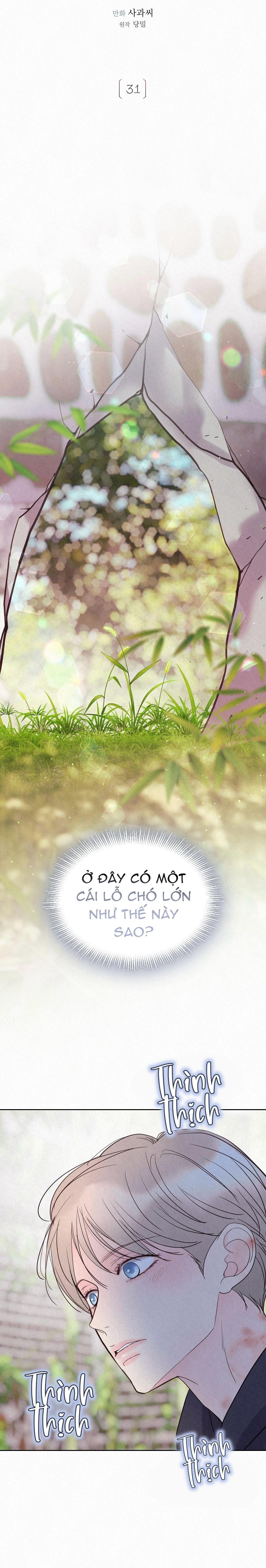 (RÔ LAI) QUÁ KHỨ CỦA KẺ PHẢN DIỆN Chapter 31 - Trang 2
